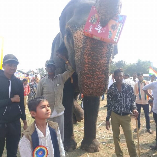 265195726 999491990909426 2523335671425691929 n