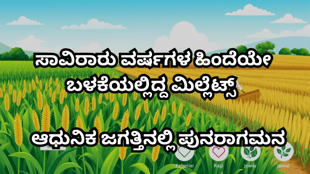 ಸಾವಿರಾರು ವರ್ಷಗಳ ಹಿಂದೆಯೇ ಬಳಕೆಯಲ್ಲಿದ್ದ ಮಿಲ್ಲೆಟ್ಸ್ ಆಧುನಿಕ ಜಗತ್ತಿನಲ್ಲಿ ಪುನರಾಗಮನ
